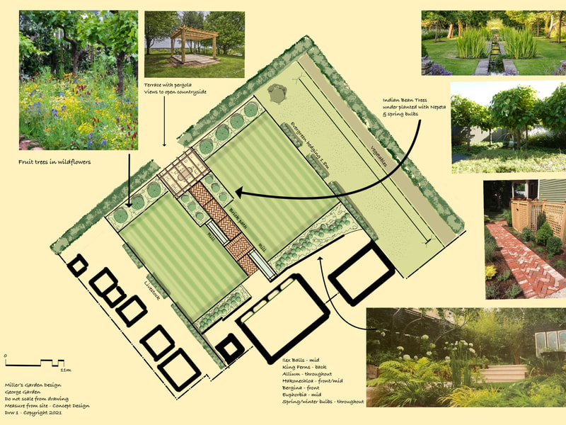 A large family garden design 
